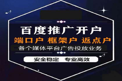 SEM竞价代运营成功案例解析